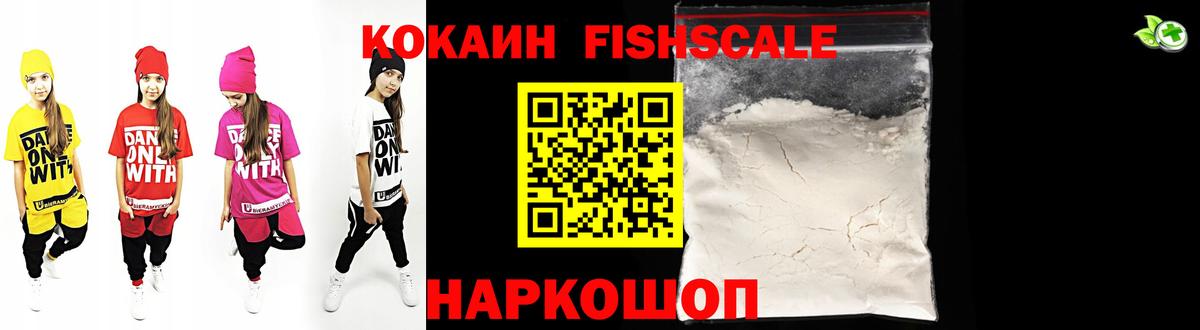 Cocaine Эквадор  COCAIN Fish Scale  Вход с VPN  Камышин 