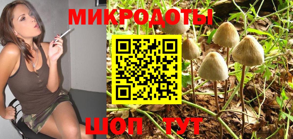 Псилоцибиновые грибы GOLDEN TEACHER Камышин
